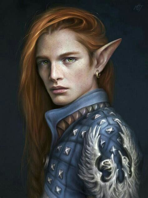 Male Elf Noble Fighter In Padded Armour Rpg Character For Dnd