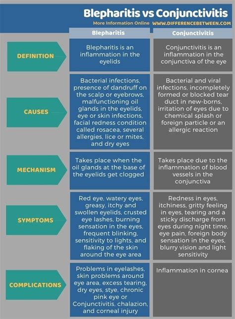 Difference Between Blepharitis and Conjunctivitis Biomedical Science ...