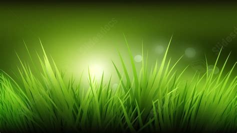 Lush Green Grass Powerpoint Background For Free Download - Slidesdocs