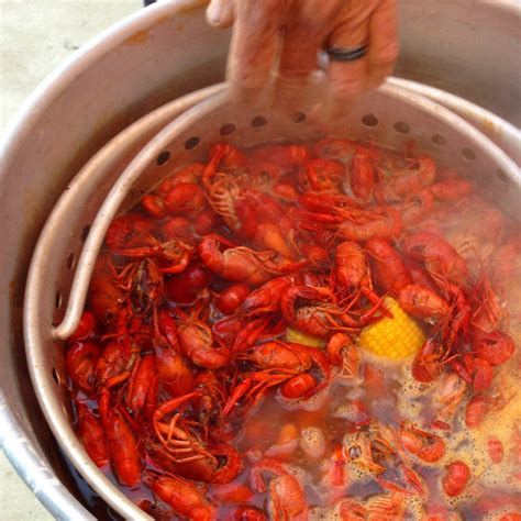 Frozen Cooked Crawfish Boil Recipe Besto Blog