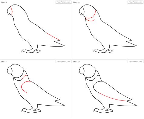 Fpencil How To Draw Parrot For Kids Step By Step