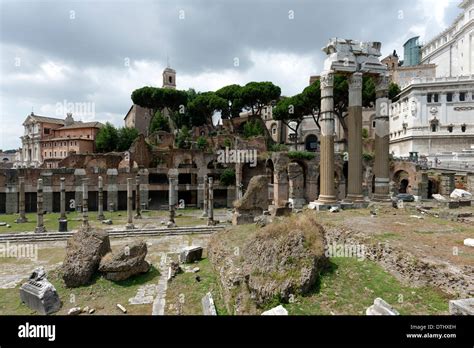 Julius Caesars Temple Venus Genetrix Remaining Double Colonnade That