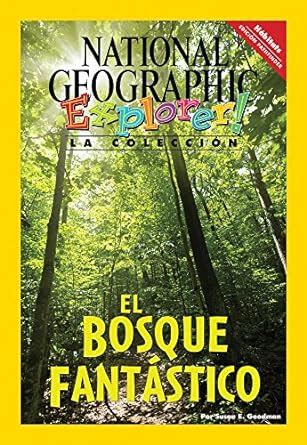 Buy El bosque fantástico The fantastic forest Explorer Books