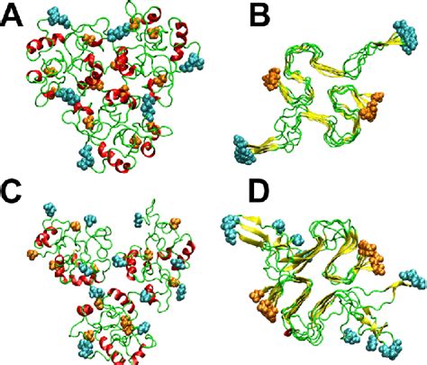 A Initial Structure Of The A Dodecamer Obtained From The Three