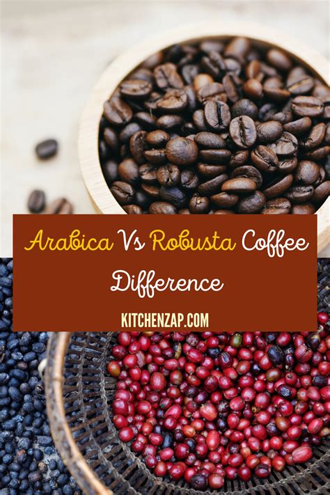 12 Things To Know About Arabica Vs Robusta Coffee Difference Robusta