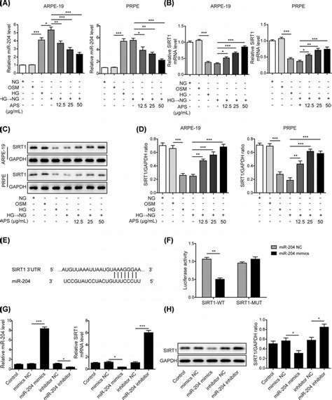 Aps Reversed High Glucose Triggered Mir Up Regulation And Sirt