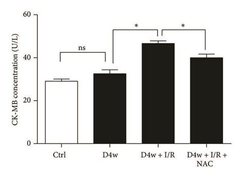 The Effects Of Nac On Heart Function And Infract Size Is In Diabetic