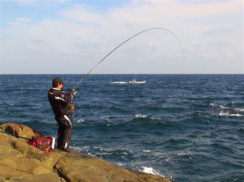 グレ釣り 対馬 島ブログ