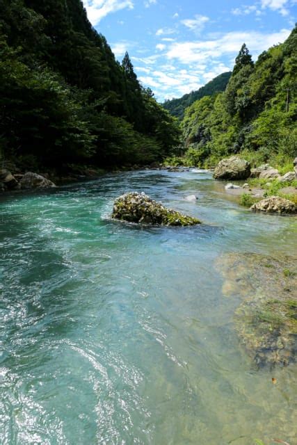 雨上がりの芹川（滋賀県犬上郡多賀町 芹谷） いちまい写真 ＋（プラス）