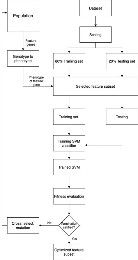 8 The Workflow Of Gasvm Feature Selection Download Scientific Diagram