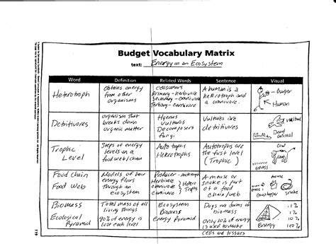 Symbiotic Relationships Worksheet Good Buddies E Street Light