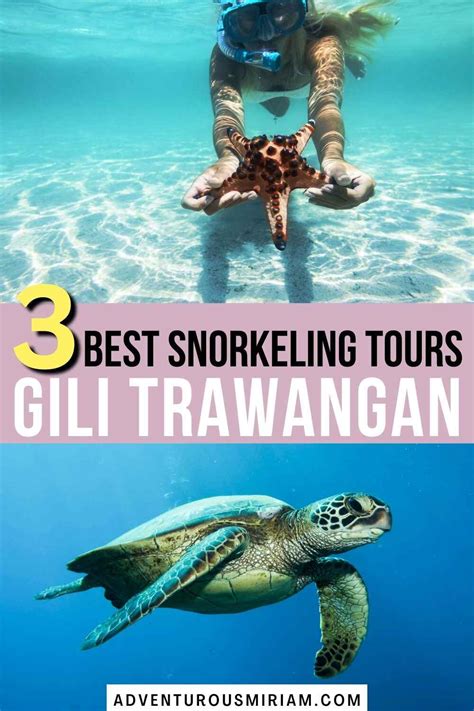 3 best tours: Snorkeling in Gili Trawangan - Adventurous Miriam