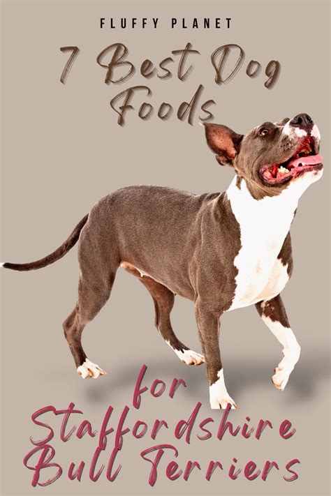 The 7 Best Dog Foods For Staffordshire Bull Terriers Best Dog Food