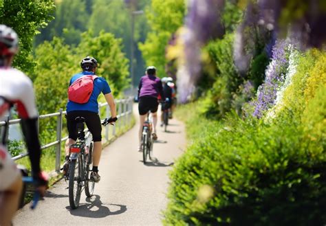 Begeleid Fietsen In Noord Zwarte Woud Verhoeven