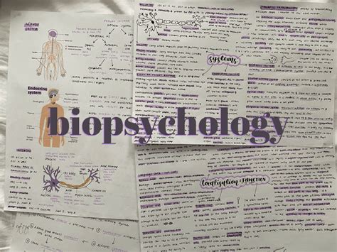 A Level Psychology Biopsychology Revision Aqa Etsy