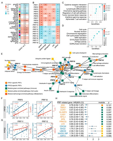 Cancers Free Full Text Multi View Radiomics Feature Fusion Reveals