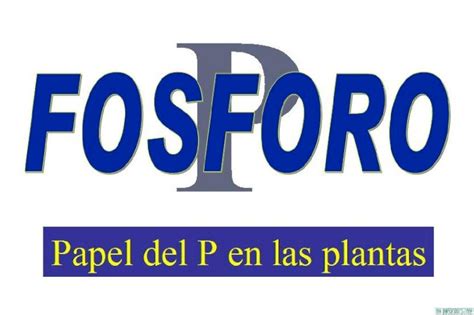 PPT Papel Del FóSforo En Las Plantas PDFSLIDE NET