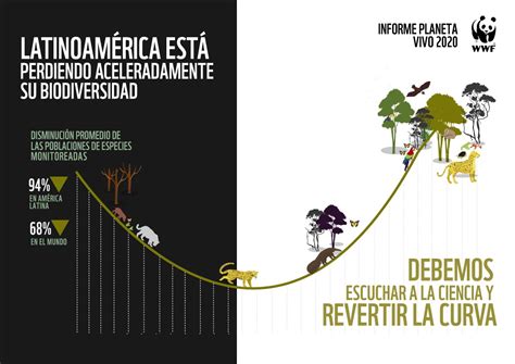 Pronunciado Declive De Biodiversidad En América Latina Wwf