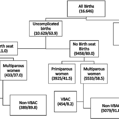 Flowchart Number Of Women Vbac Vaginal Birth After Caesarean Download Scientific Diagram