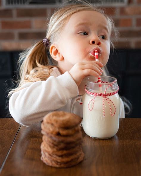 Toddler Drinking Milk And Eating Gingersnap Cookies For Christmas