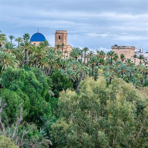 Vista De La Ciudad De Elche Provincia De Alicante Espa A Mostrando El