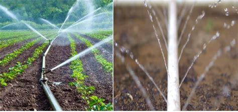 Types And Features Of Sprinkler Or Overhead Irrigation System