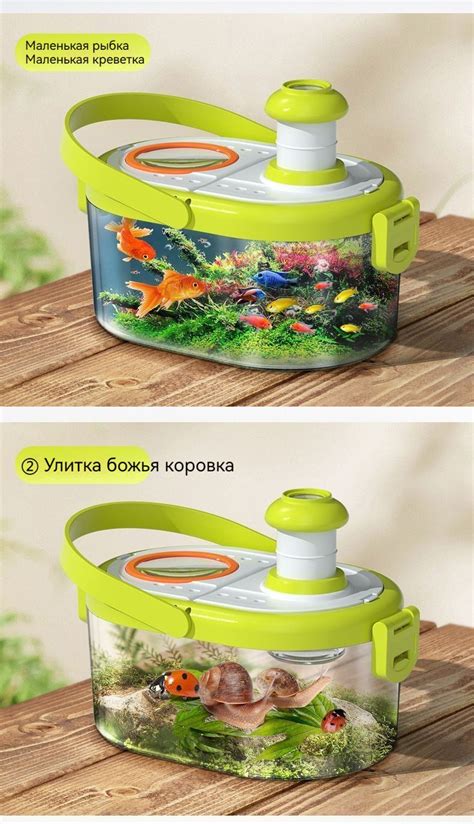 Ящик для наблюдения за насекомыми, детская сетка от насекомых ...