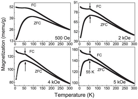 ZFC And FC Magnetization Curves Measured With Various Magnetic Fields