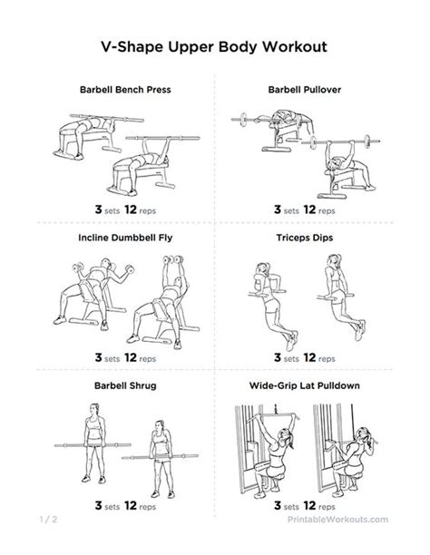 V Shaped Body Exercises