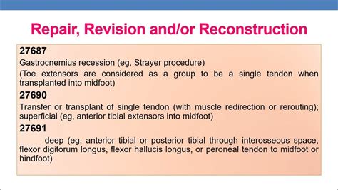 2023 Cpt Coding Guidelines For Surgery Musculoskeletal System Part 10