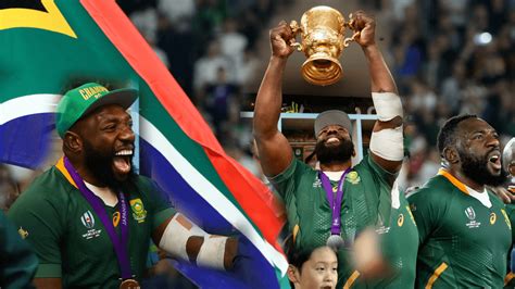 No rest for Springbok World Cup winners - australia | Rugby365