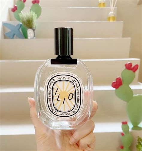 Diptyque Perfume Ilio Edt Ml Limited Edition Beauty