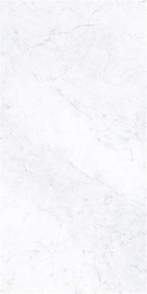 Delicato Bianco Natural White Tile Texture Marble