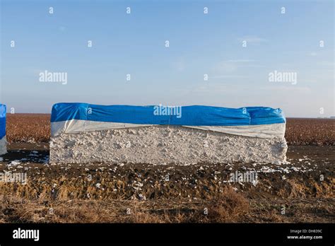 Cotton module - California USA Stock Photo - Alamy