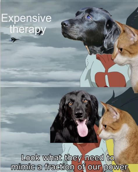 Dogo cat!! : r/lostpause