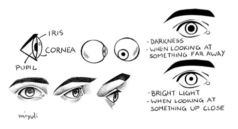 Ideal Tips About How To Draw Profile Eyes - Offencesun