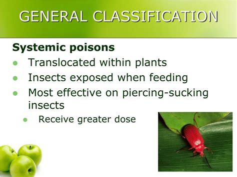 Ppt Insecticides Powerpoint Presentation Free Download Id5742155