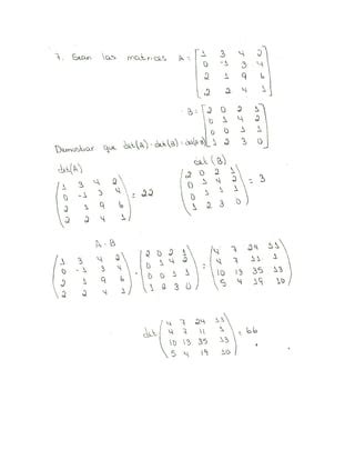 Actividad Algebra Lineal PDF