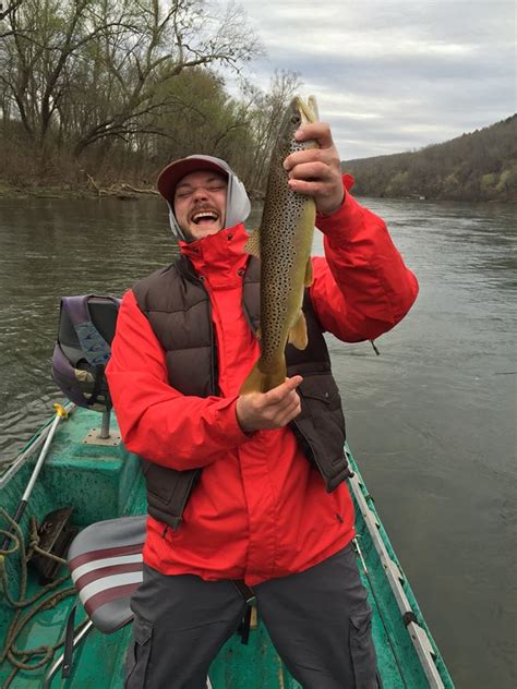 Norfork River Spinbait Fishing Trip With Cotter Trout Dock Mountain