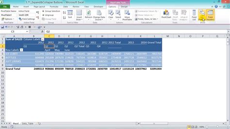 Expandcollapse Pivot Table Fields