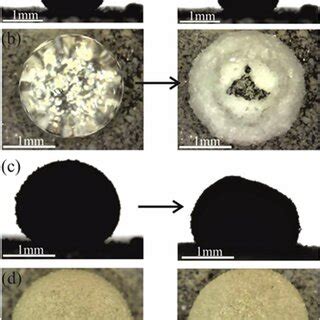 The Evaporation Processes Of A Naked Aqueous Nacl Solution Drop A And