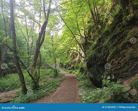 Tourist Attraction Hiking Trail Baybachklamm In Rhineland Palatinate