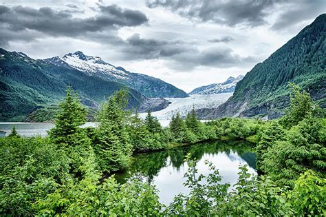 Scenery Around Mendenhall Glacier Park In Juneau Alaska Photograph By