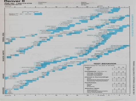 Denver Developmental Screening Test Ii Pdf Coldklo