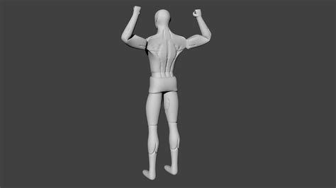 D Model Muscular Man Base Model Rigged Vr Ar Low Poly Cgtrader