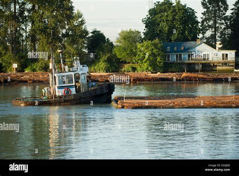 Tug Boat Pushing Log Boom Down The Fraser River Bordering Vancouver