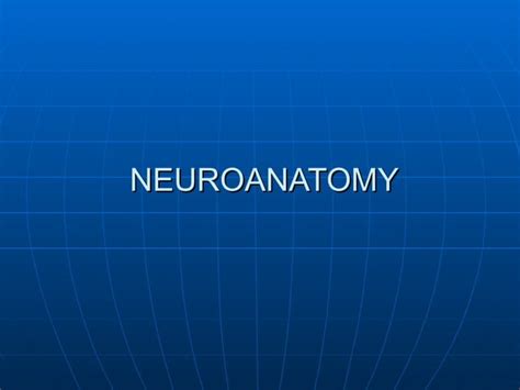 Localization In Clinical Neurology | PPT 