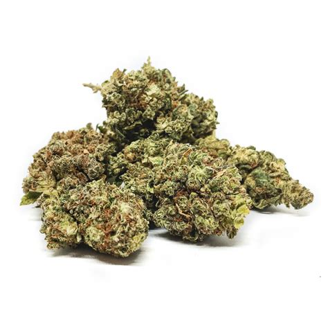 Susz Konopny Super Lemon Haze Sativa Poland Samanatura Eu