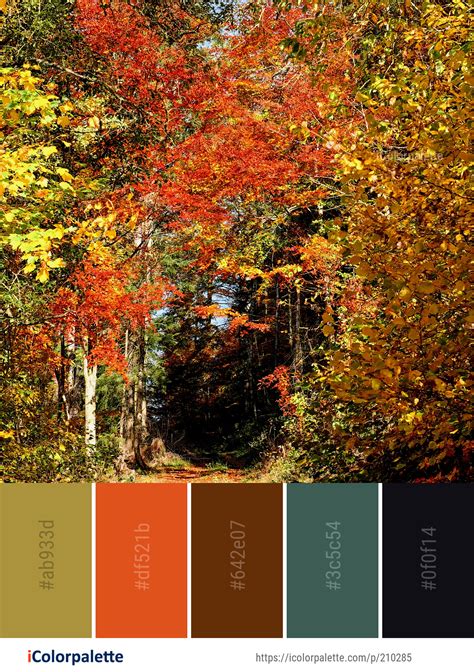 Color Palette Ideas From Nature Images Icolorpalette Nature