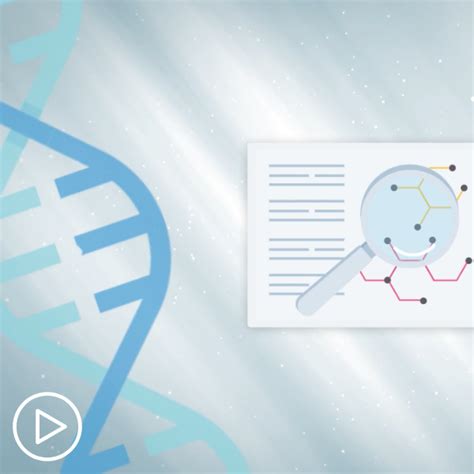 How Does CLL Progress? Understanding the Stages of CLL - Patient Empowerment Network